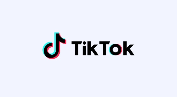 TikTok logotipo